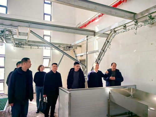 浙江省畜牧農(nóng)機(jī)發(fā)展中心赴寧海檢查家畜定點(diǎn)屠宰廠(chǎng)GMP建設(shè)情況