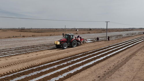 北斗賦能智慧農(nóng)機(jī)，定邊四萬(wàn)畝馬鈴薯春播盡顯“科技范”